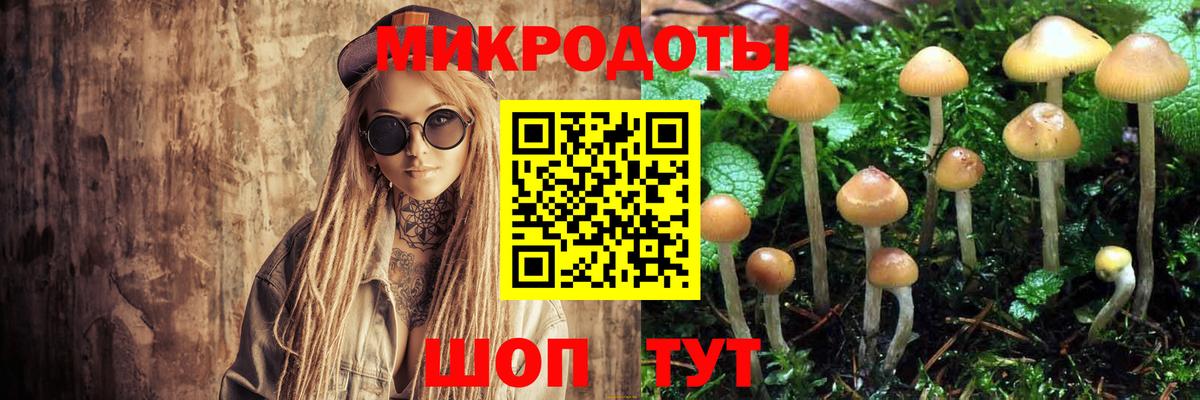 Псилоцибиновые грибы GOLDEN TEACHER  цена   Татарск  Вход с VPN 